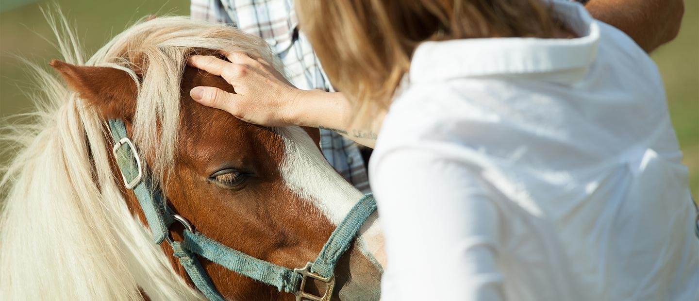 woman petting a horse's head